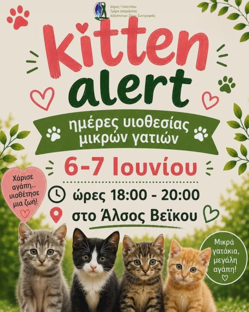 Ημέρες υιοθεσίας μικρών γατιών «Kitten Alert» το Σαββατοκύριακο 6 και 7 Ιουνίου 2026 στο Άλσος Βεΐκου
